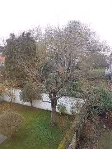 Superbe maison de Maître rénovée à Ixelles - 5