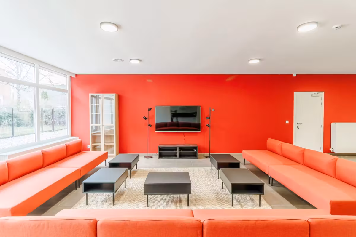 Gerenoveerde studentenkamers & studio's - 7