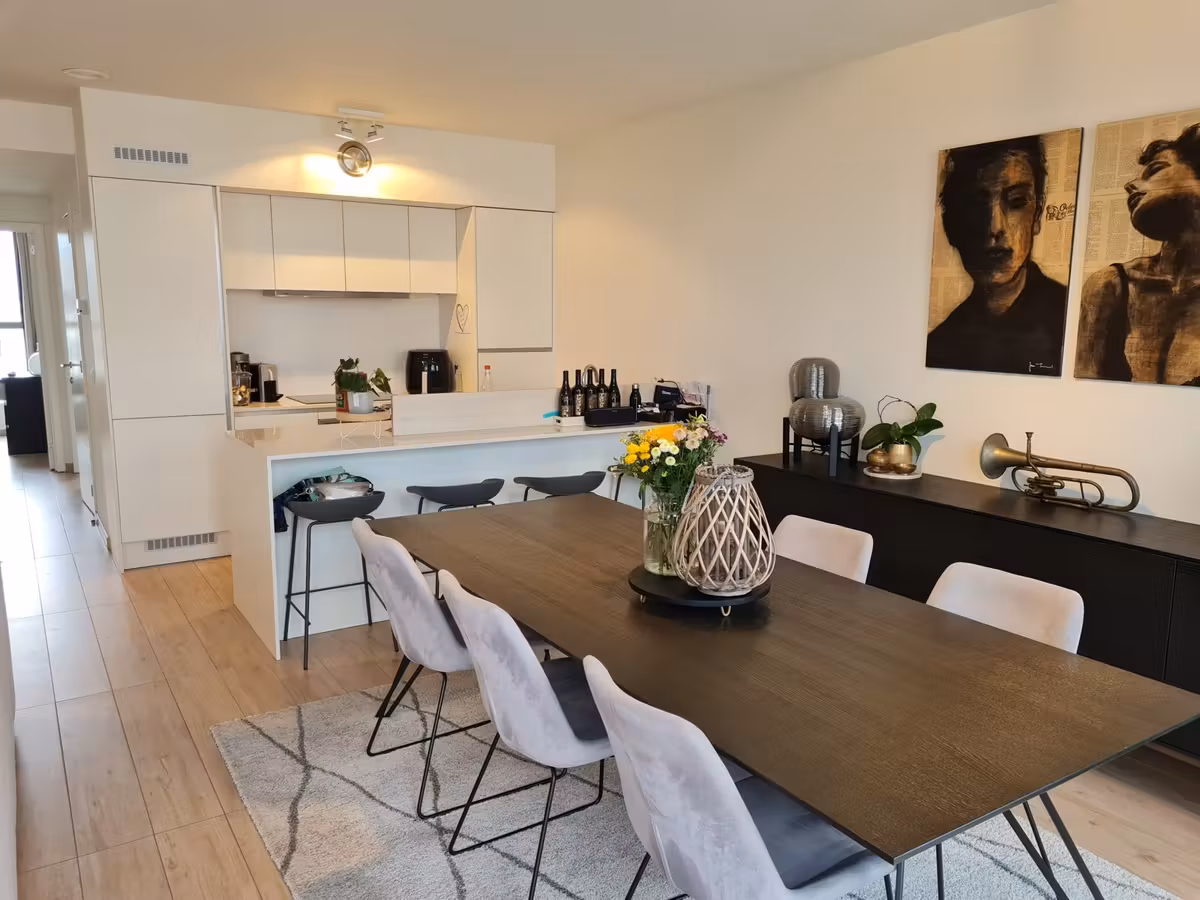 Bright apartment with terrace on Eilandje - 7
