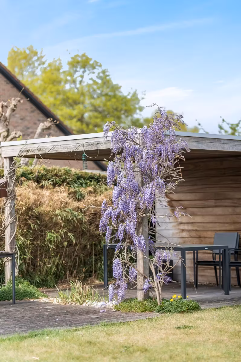 Ruime instapklare gezinswoning met tuin te huur in Oostakker - 16