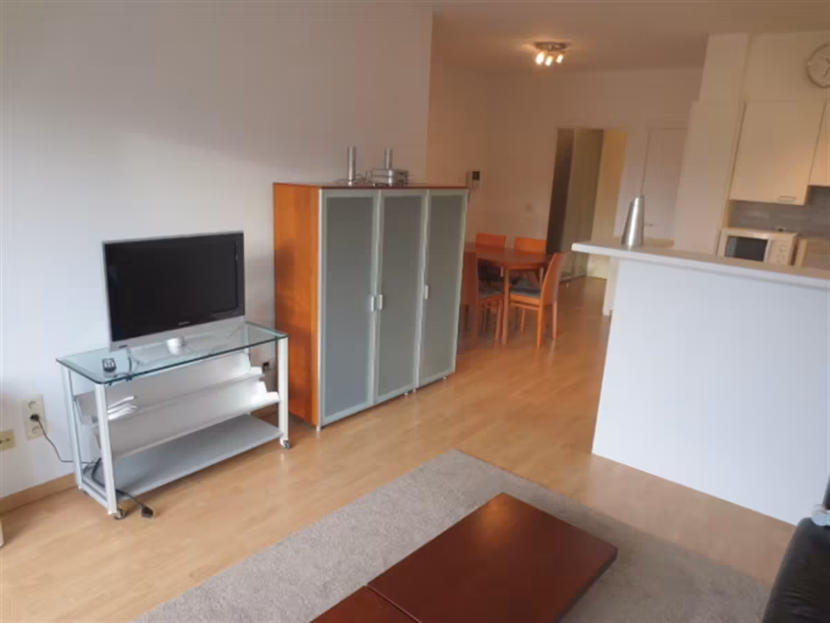 Furnished apartment in quiet green area - 3
