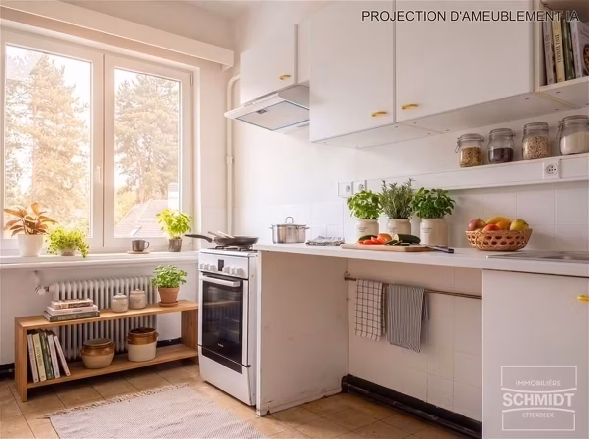 Renovated 2-bedroom apartment with garage - 3