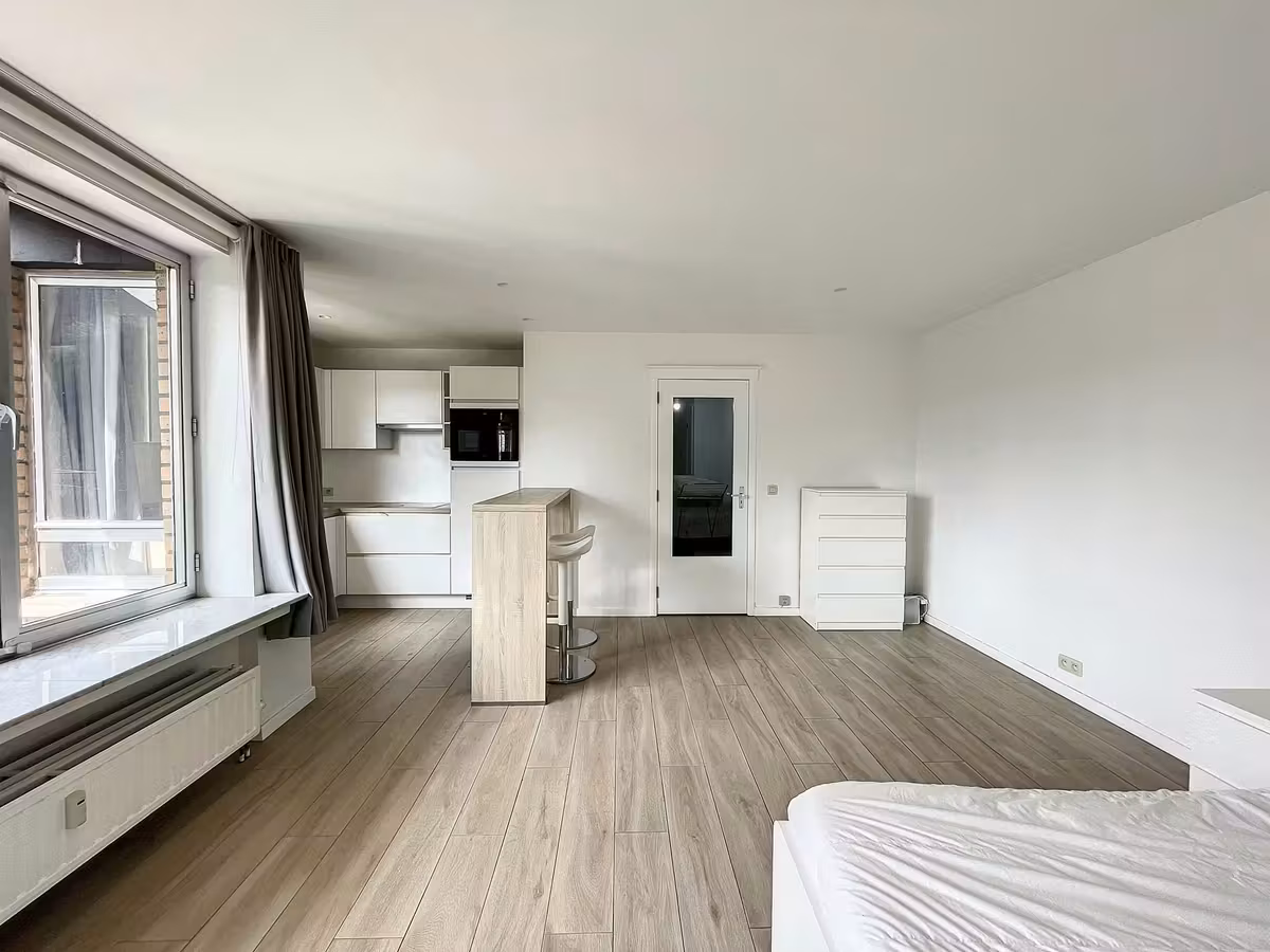 Studio in Brussels at Ambiorix Square - 3
