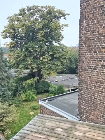 DUPLEX - À LOUER - 1030 SCHAERBEEK - 1 200 € - 15