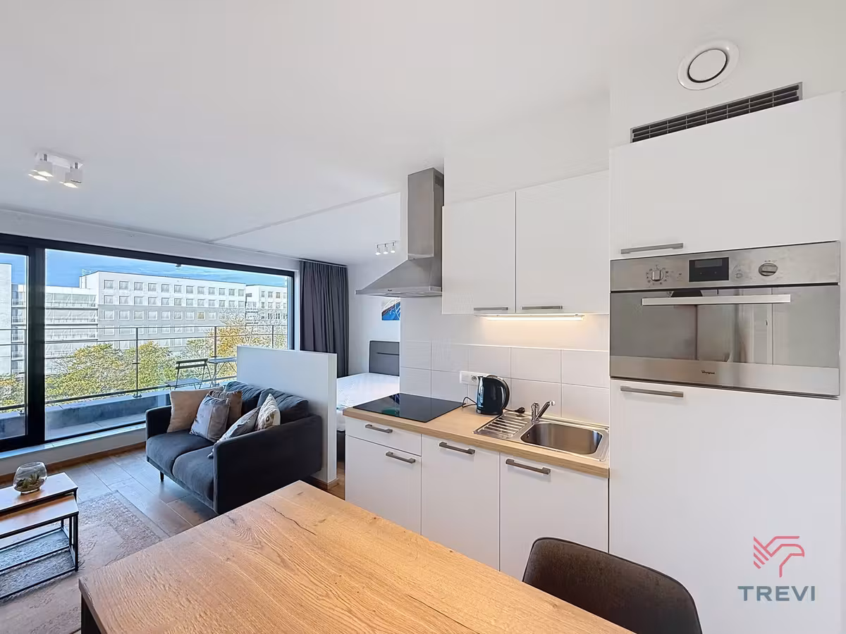 Furnished studio with terrace and parking - 3