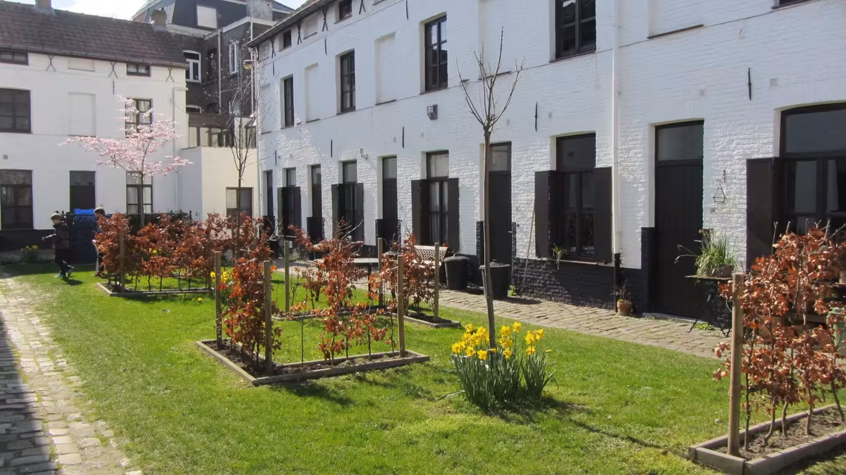 VOLLEDIG GERENOVEERD BELUIKHUISJE IN CENTRUM GENT !