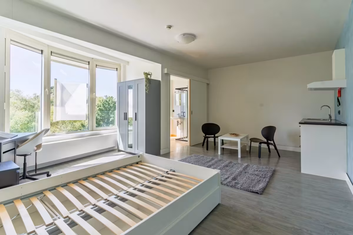Gerenoveerde studentenkamers & studio's - 7
