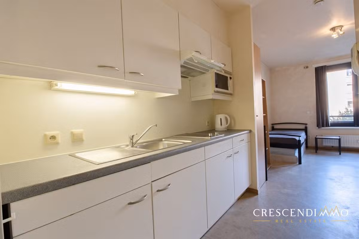 Mooie gemeubileerde studio nabij Rue Neuve - 1