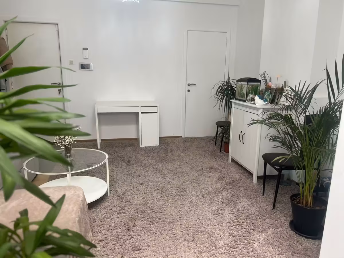 One-bedroom apartment on the ground floor - 3