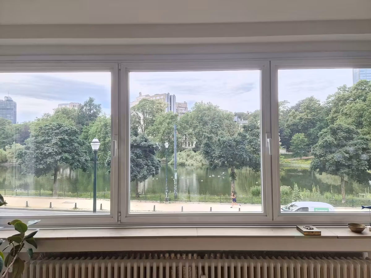 Gerenoveerd appartement met uitzicht op de Vijvers van Elsene - 2