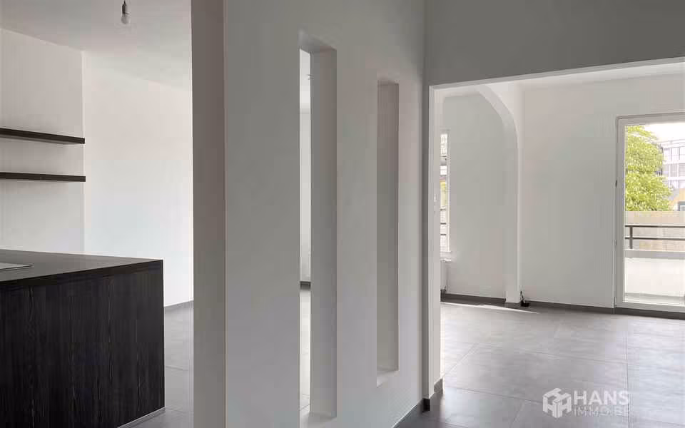 Renovated two-bedroom apartment with terraces - 4
