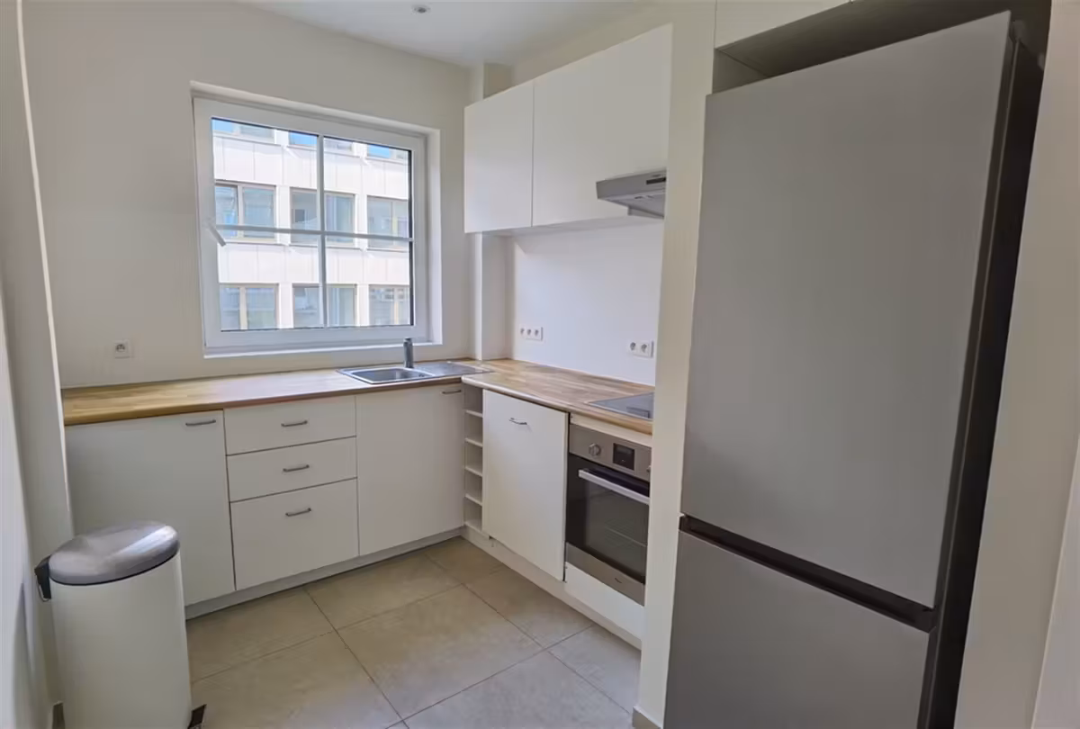 Renovated apartment with terraces in Ixelles - 6