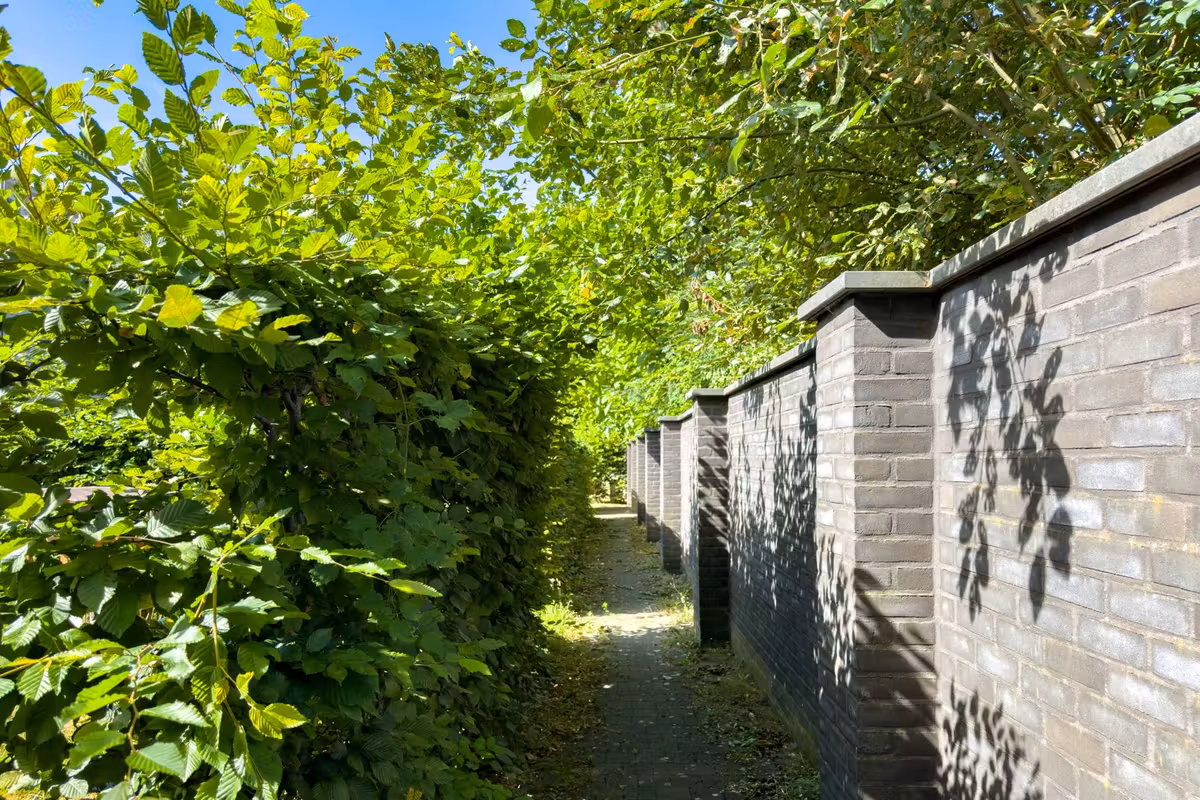 Tweeslaapkamer tuinappartement met ondergrondse staanplaats - 6