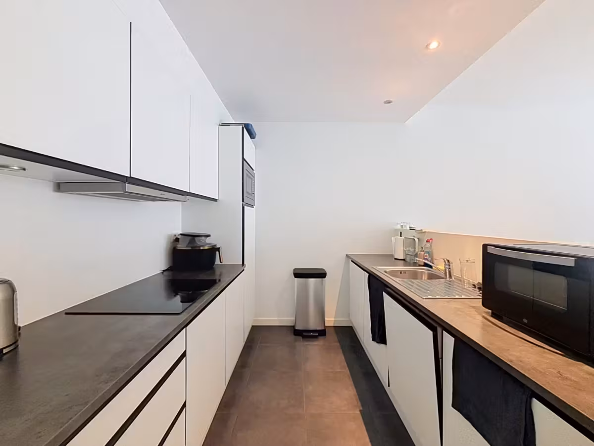 Two-terrace apartment in Theaterbuurt - 3