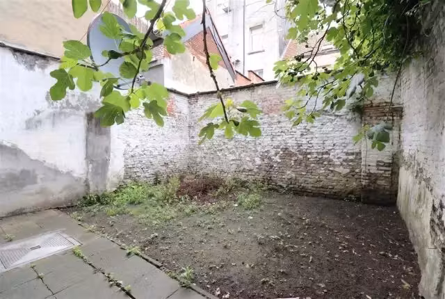 Studio charmant avec jardin de ville - 6