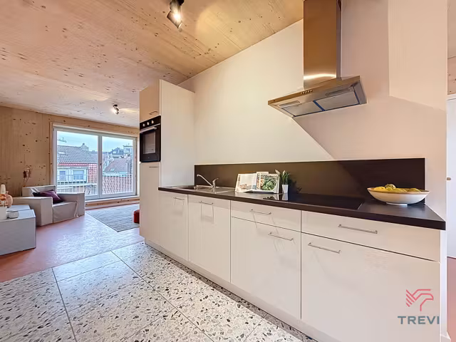 Prachtig appartement in Tannat project Molenbeek - 11