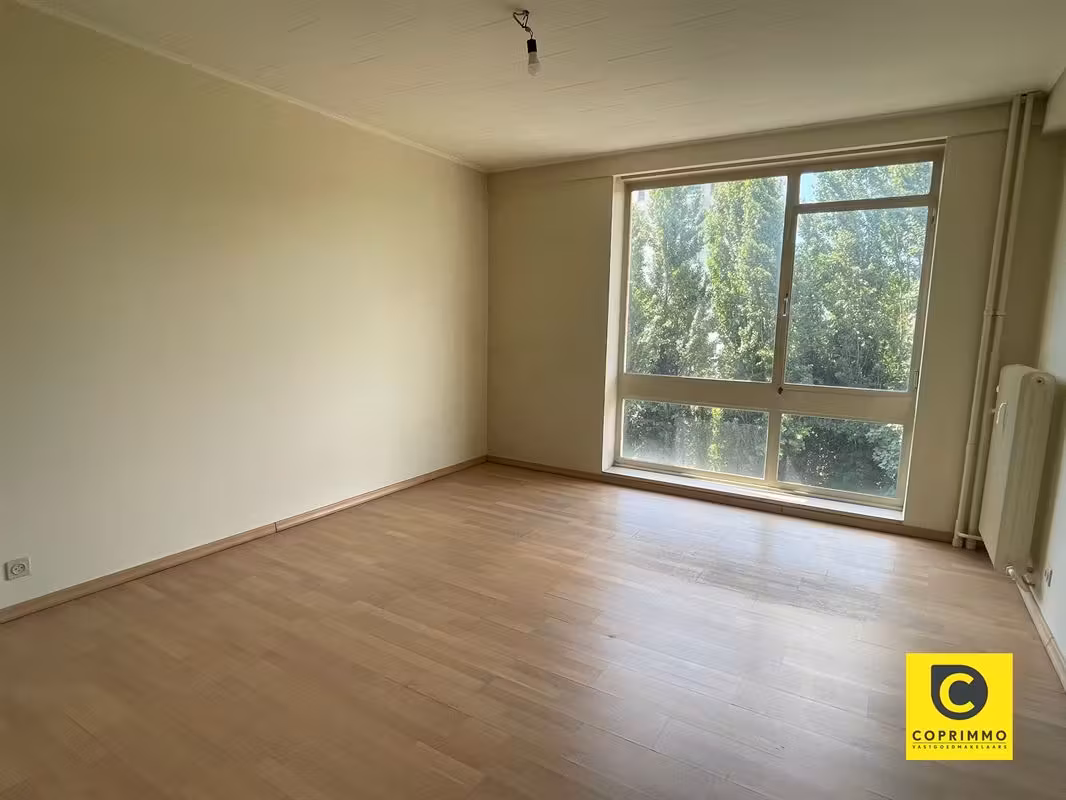 Gezellig 3-slaapkamer appartement in Wilrijk - 6