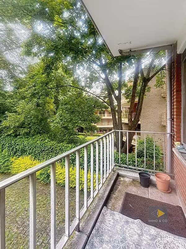 Apartment in Watermael-Boitsfort (1170) - 4