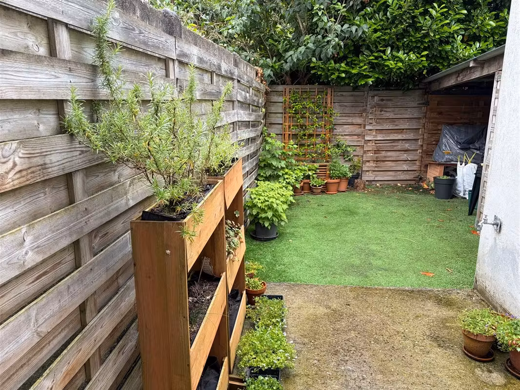 Belle maison avec petit jardin à Berchem - 6