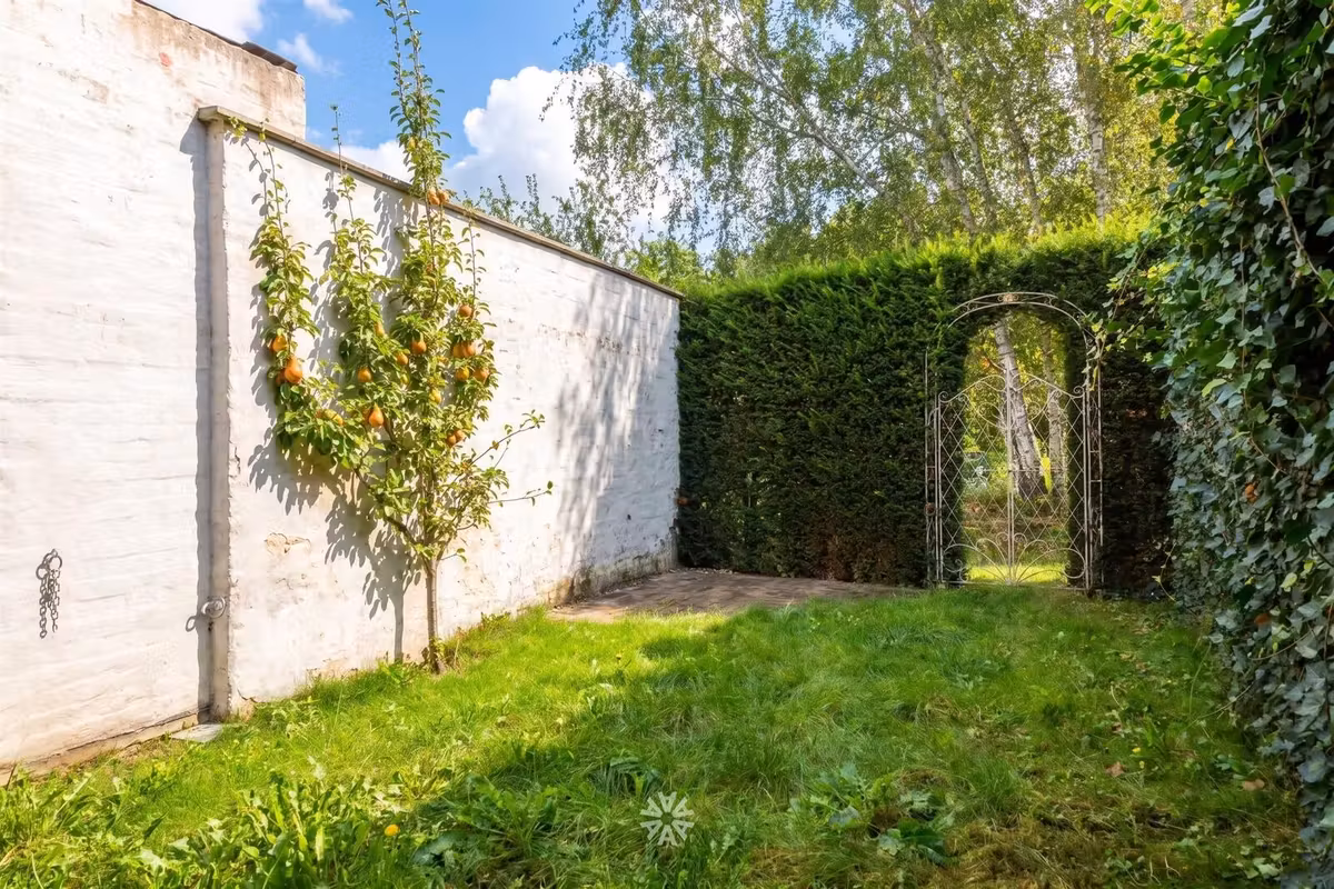 Unieke gerenoveerde woning met zonnige tuin te huur in Mariakerke - 3