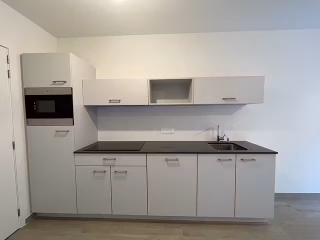 Recent 1-bedroom apartment with spacious terrace - 16