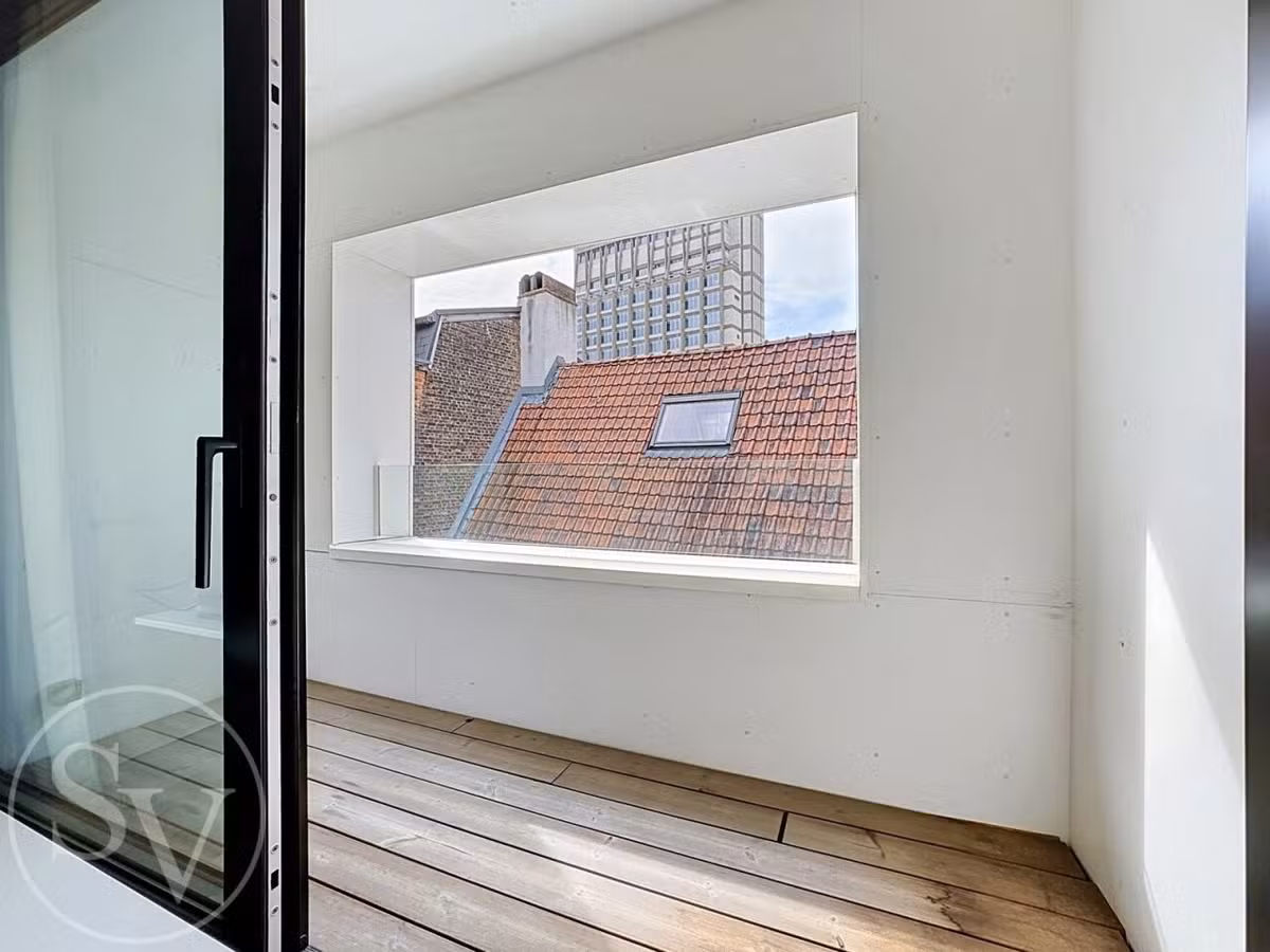 Grande studio meublée avec terrasse - 9