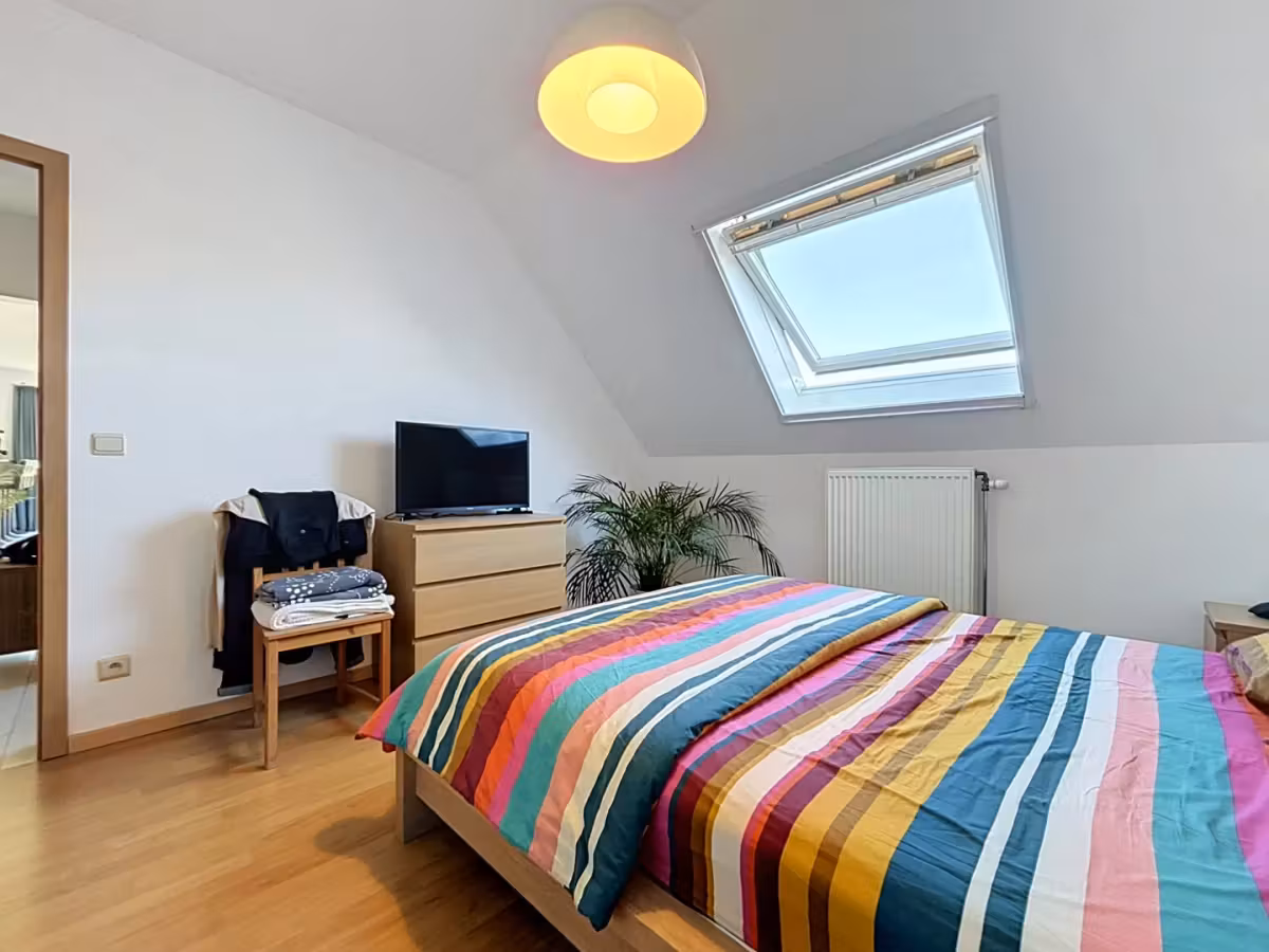 Appartement à la frontière entre Hoboken et Wilrijk - 4