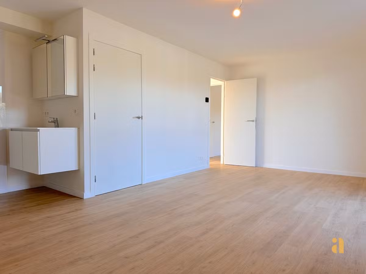Appartement rénové avec terrasse ensoleillée - 12