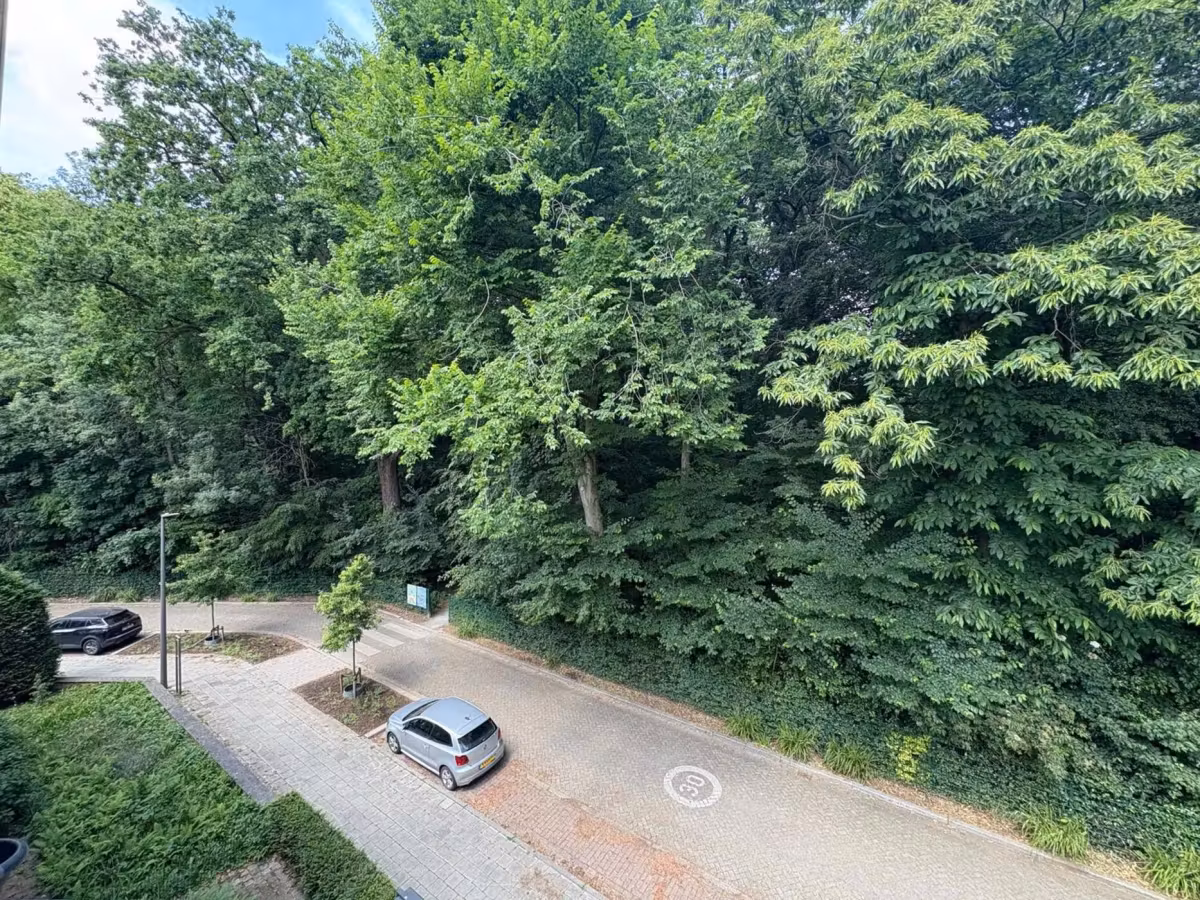 Prachtig appartement met uitzicht op Te Boelaerpark - 6