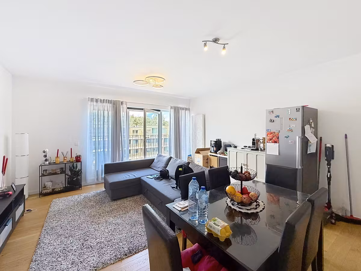 3-bedroom apartment with large terrace - 7
