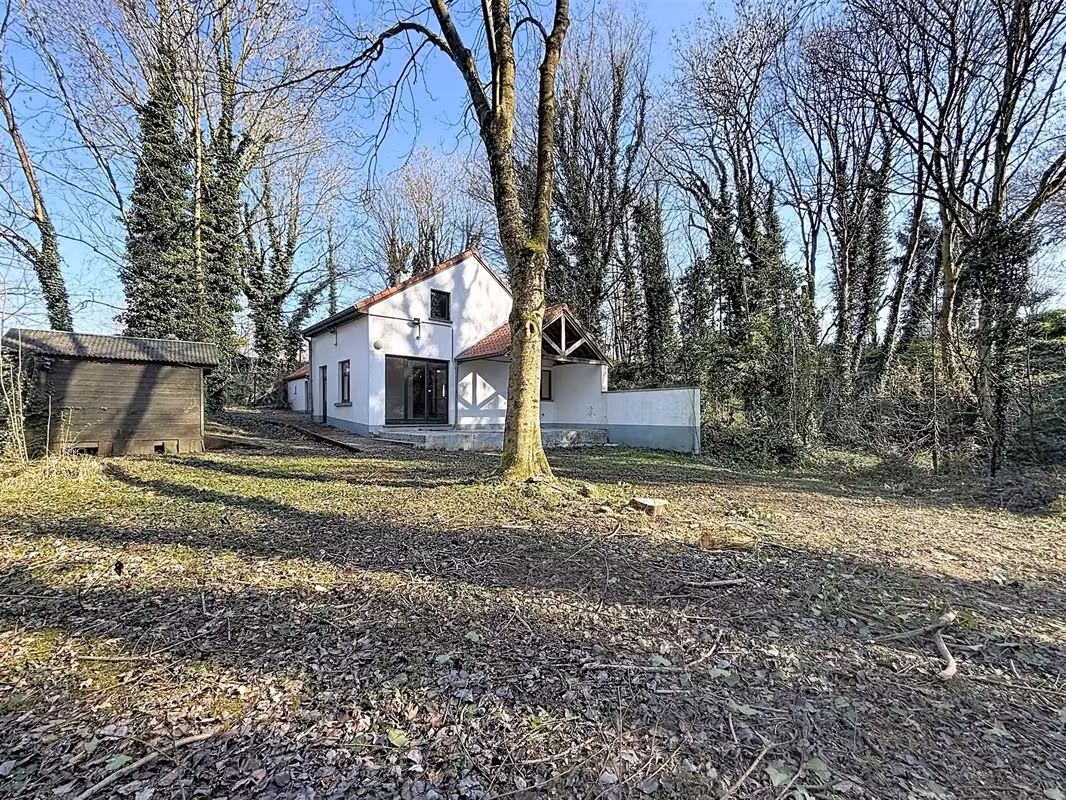 Schitterend huis met 4 slaapkamers in Sint-Agatha-Berchem - 2