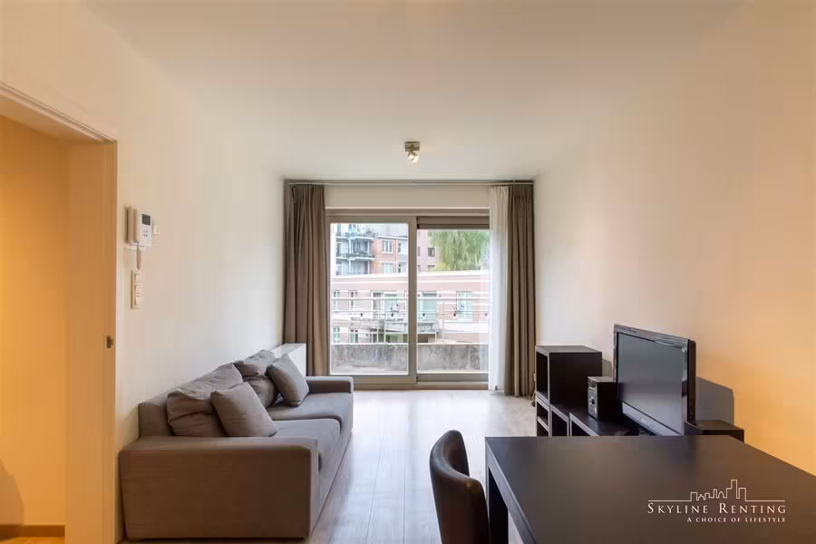 Furnished apartment near the Chasse - 1