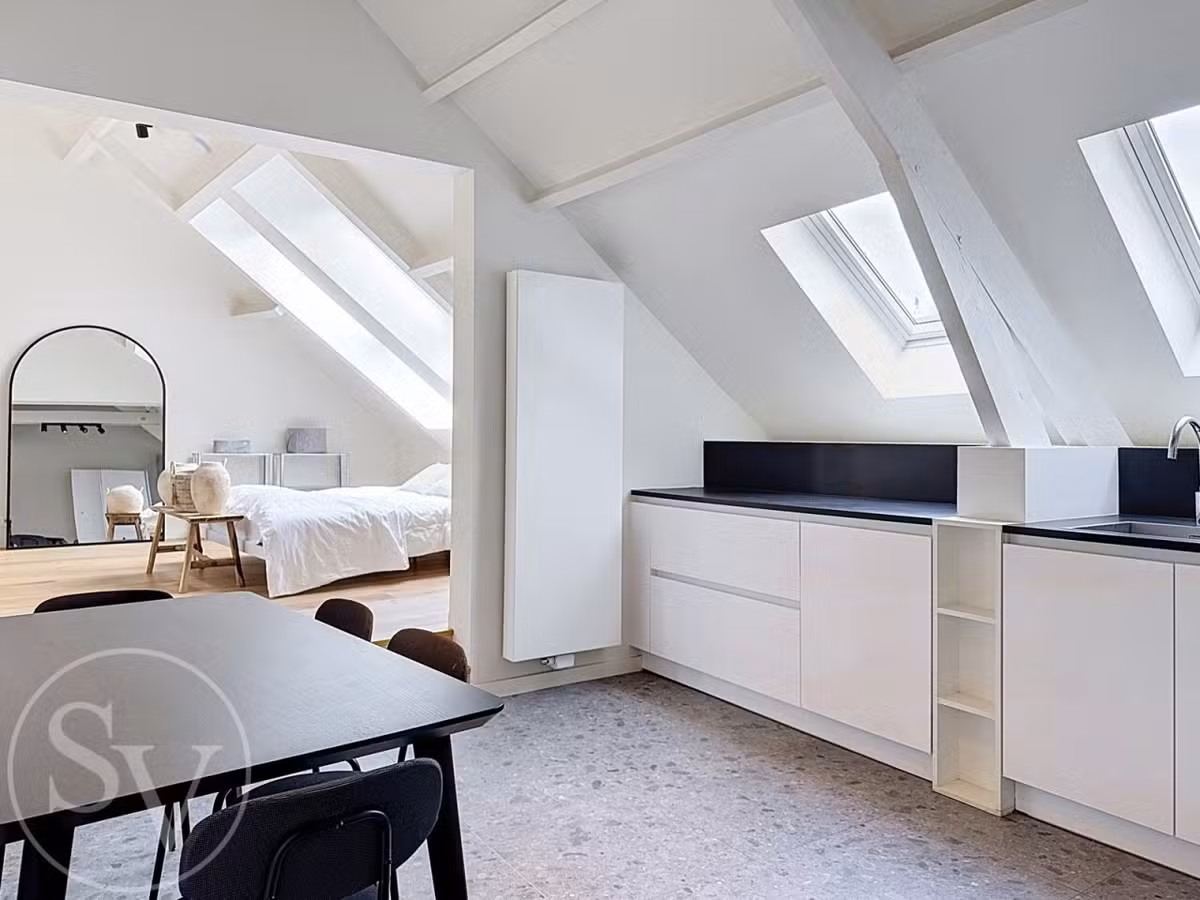 Grande studio meublée avec terrasse - 6