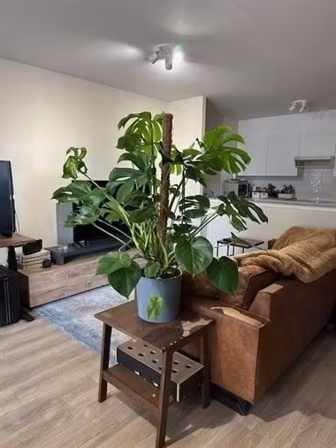 Super gezellig 1 slaapkamer appartement op Coupure Rechts - 5