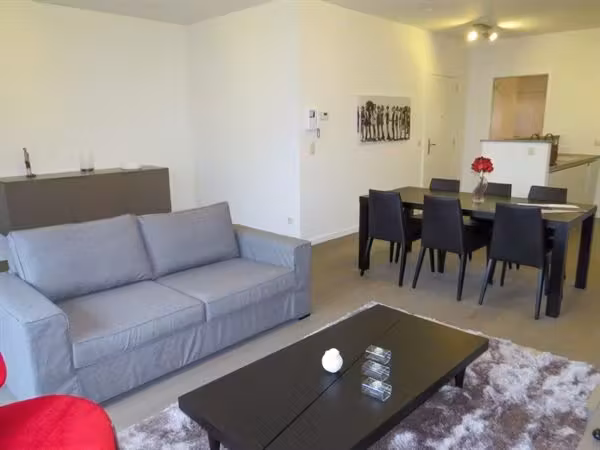 Furnished apartment downtown - 8
