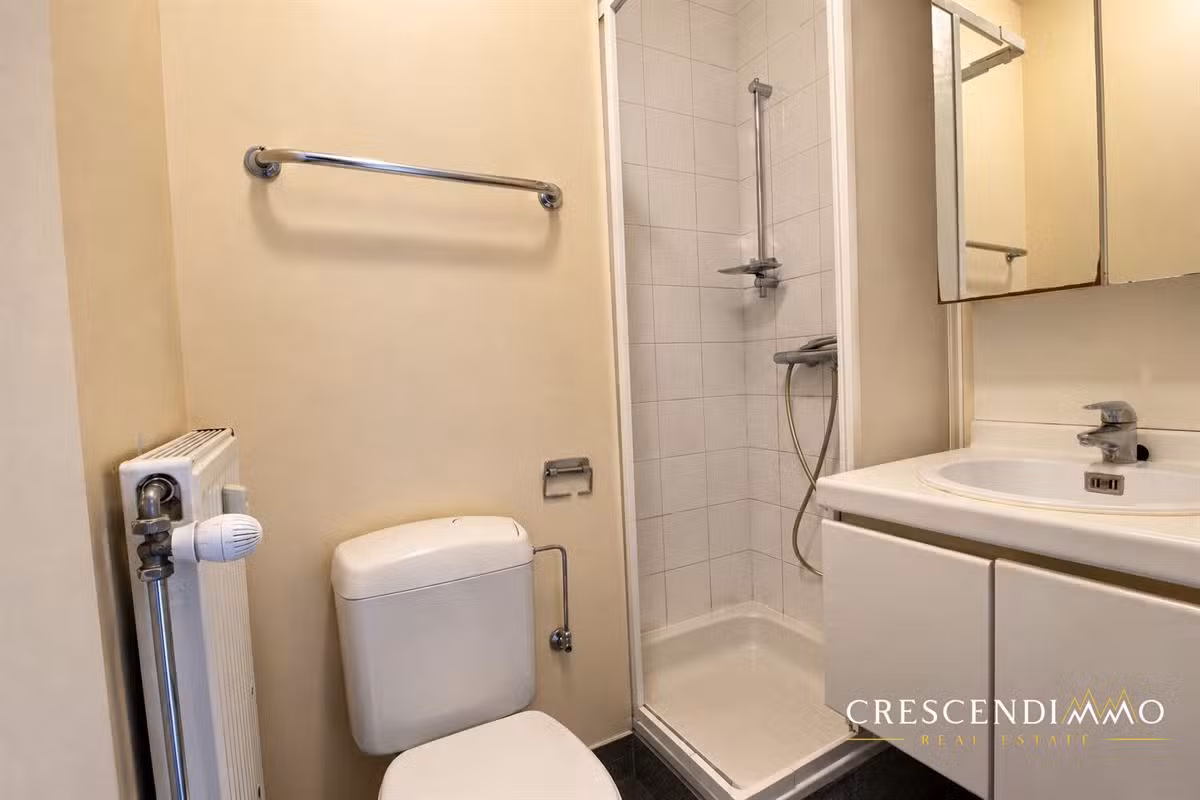 Mooie gemeubileerde studio nabij Rue Neuve - 3