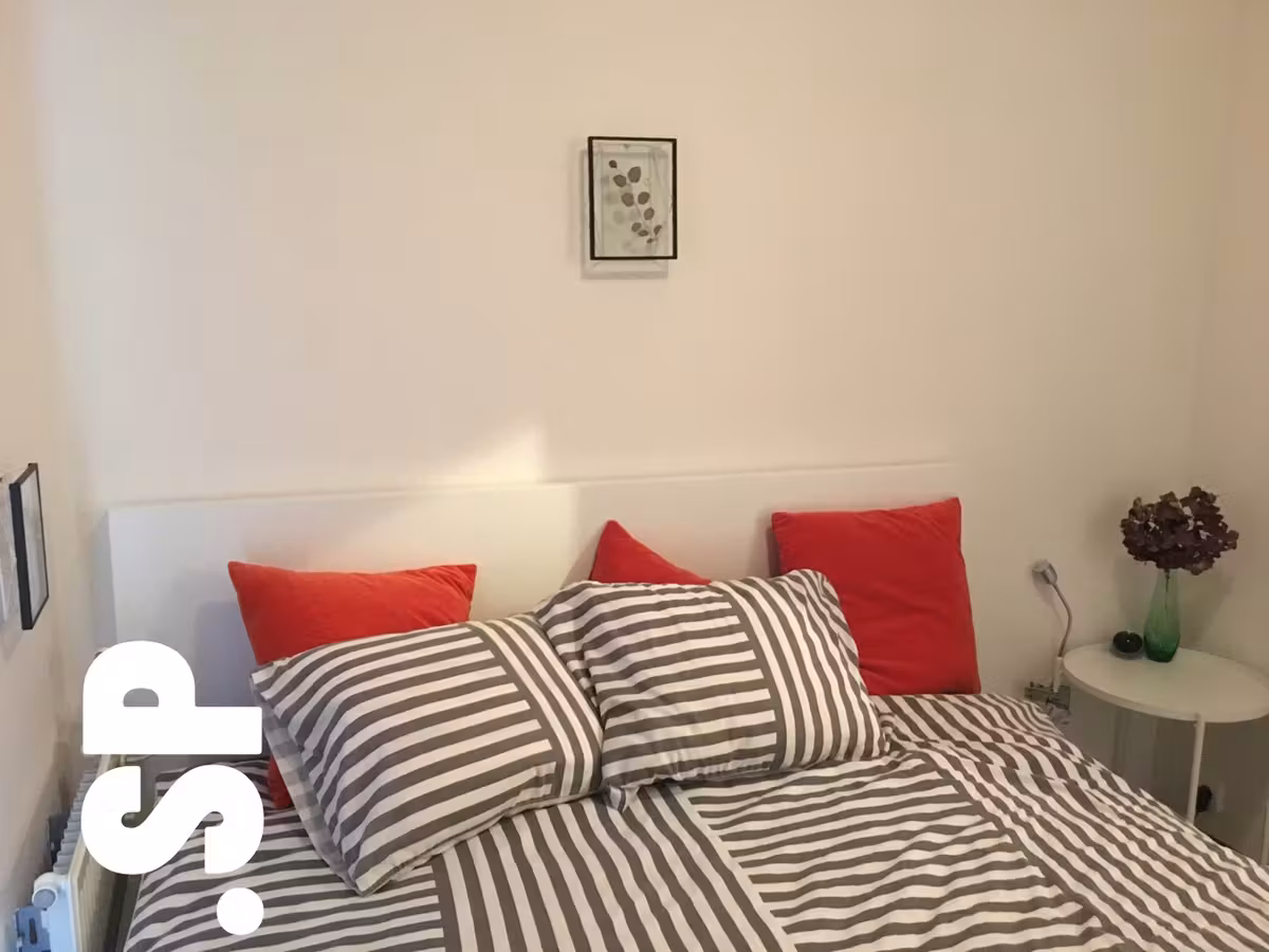 Three-bedroom apartment with large terrace - 10