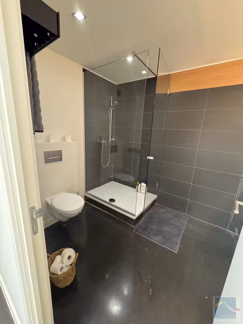 RUIM LOFT TE HUUR, VETERINAIERSSTRAAT, ANDERLECHT - GENIET VAN EEN UNIEKE WOONRUIMTE IN EEN GEZELLIGE OMGEVING. - 16