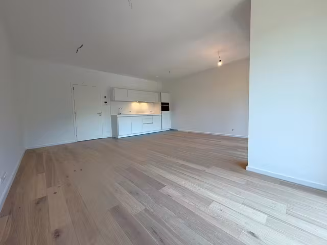 Splendid new apartment in Watermael-Boitsfort - 12