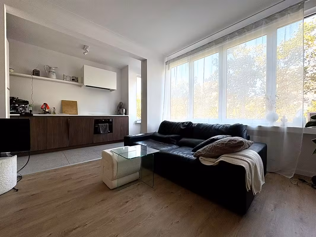 Renovated apartment with views of the Butterfly Palace - 5