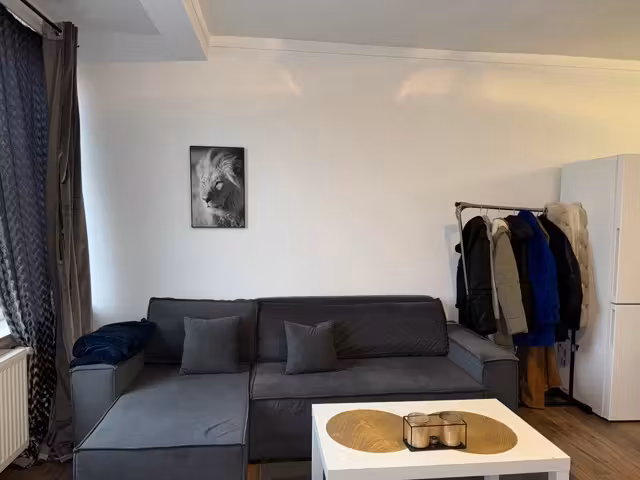 Bright and spacious studio in Molenbeek - 1