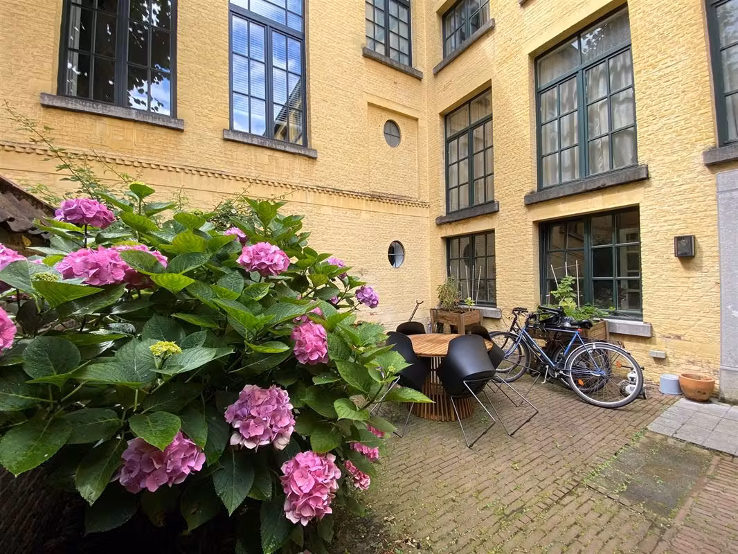 Charmant huis met tuin en parking in hartje Antwerpen - 3