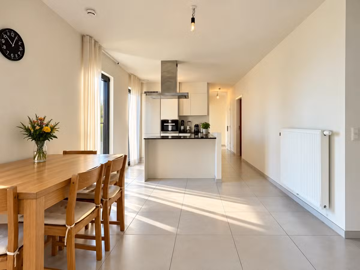 Spacious 3-bedroom apartment with large terrace - 11