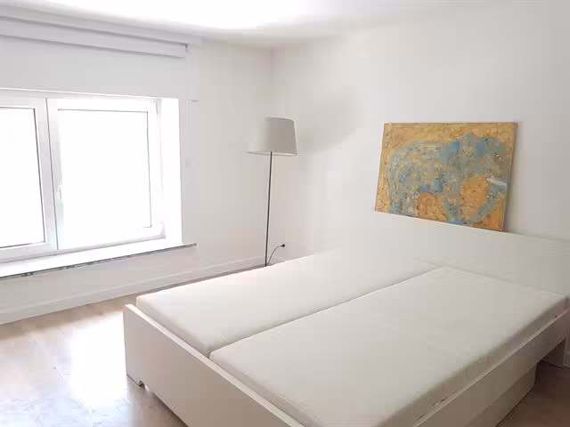 Charming furnished apartment with garden in Saint-Gilles - 16