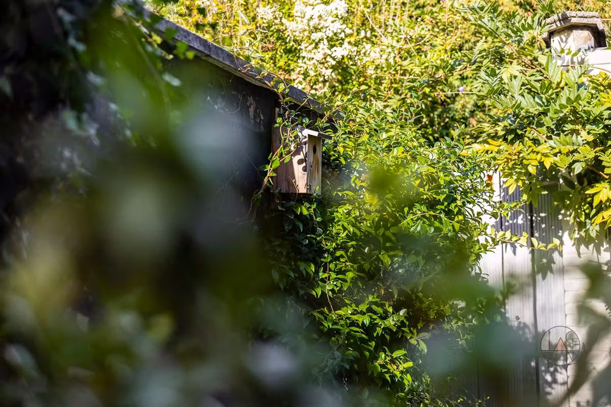 Karaktervolle woning met terras in Oud Berchem - 11