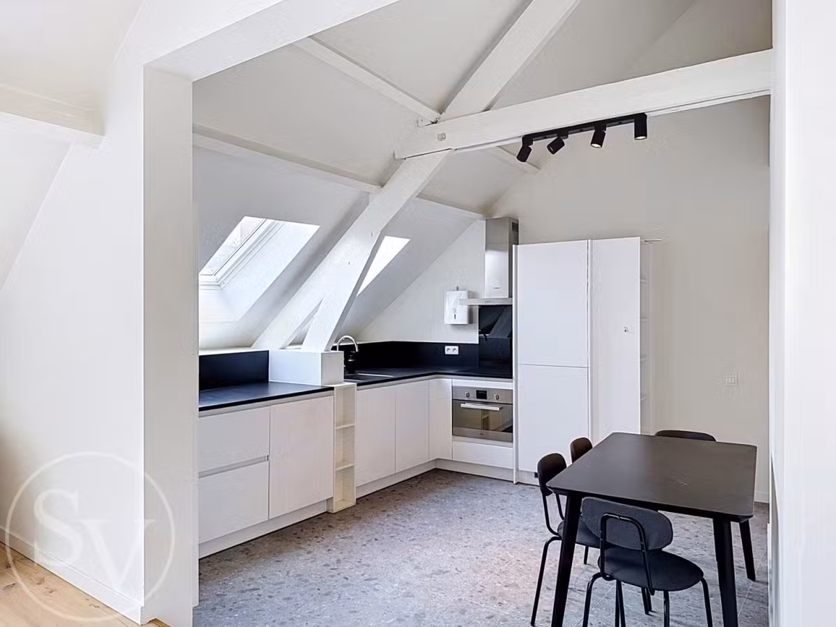 Grande studio meublée avec terrasse - 7