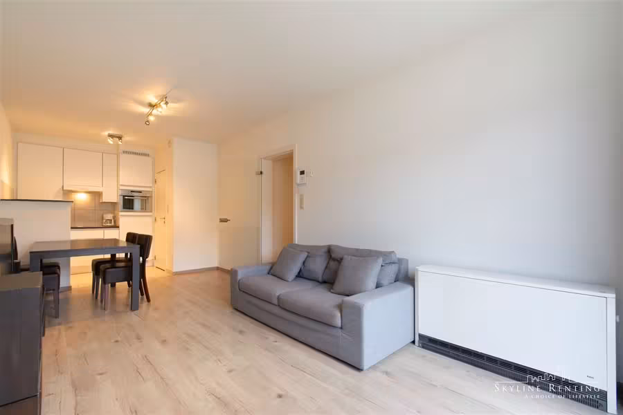 Furnished apartment near the Chasse - 7