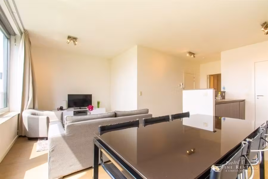 Furnished apartment in the center of Brussels - 8