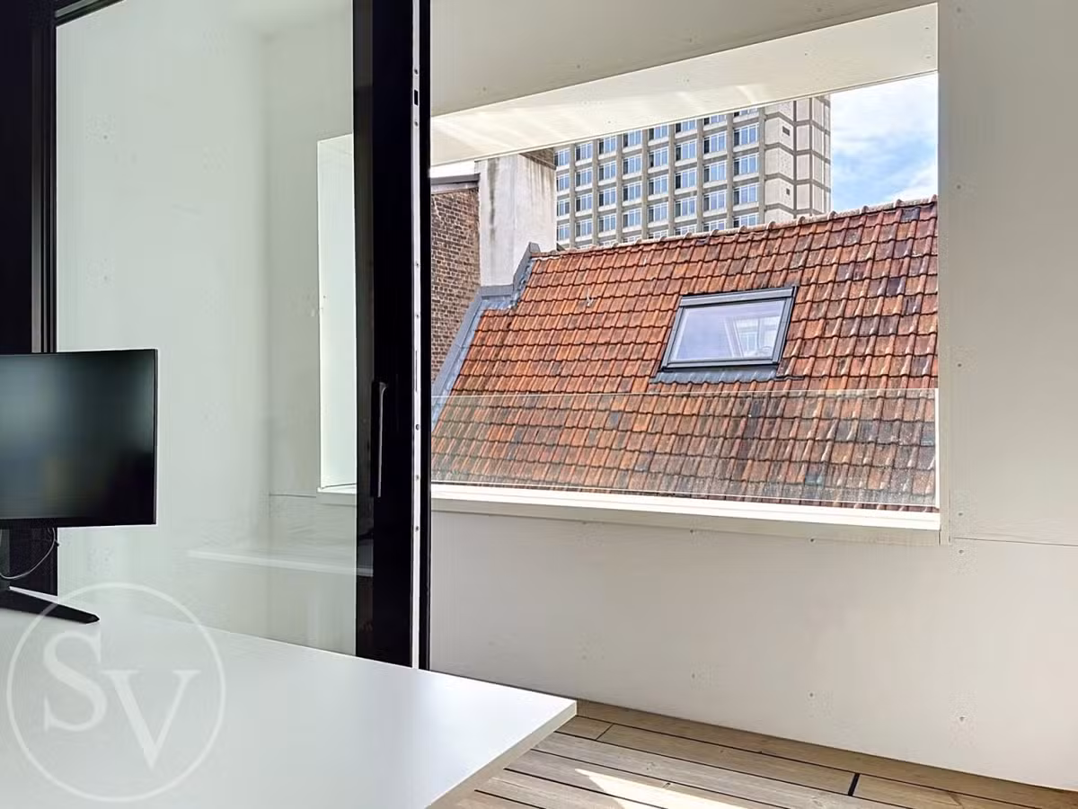 Grande studio meublée avec terrasse - 10