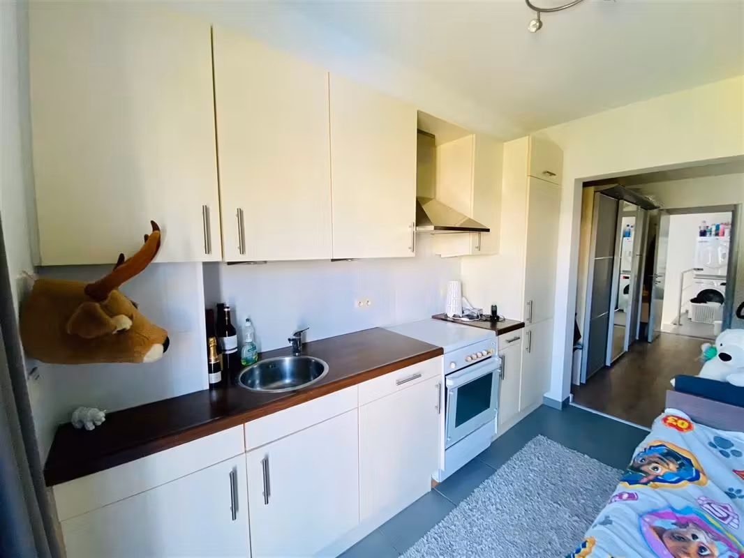Belle maison avec petit jardin à Berchem - 16